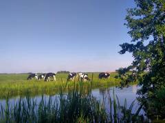 IMG20240812173332 (1)